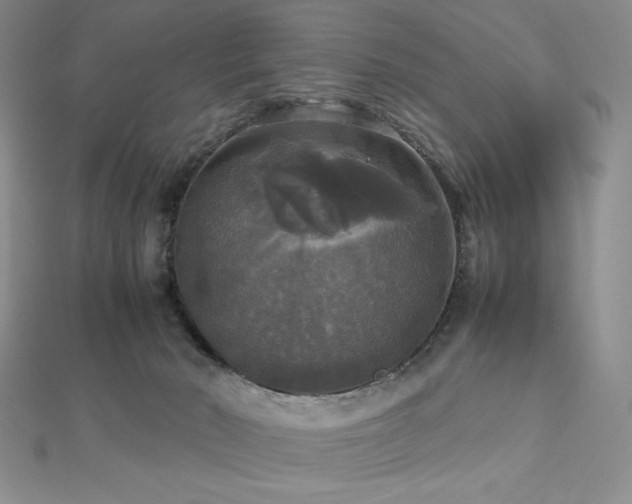 X0000112530030200908171430
