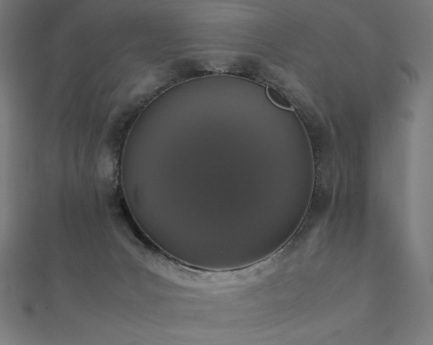 X0000112530031200908171430