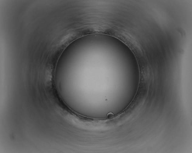 X0000112530032200908171430