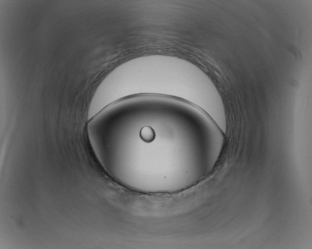 X0000112530033200908171430