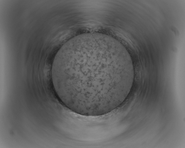 X0000112530034200908171430