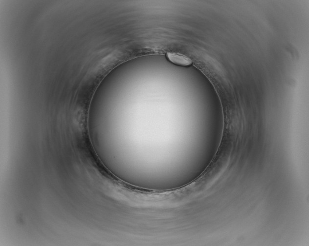 X0000112530036200908171430