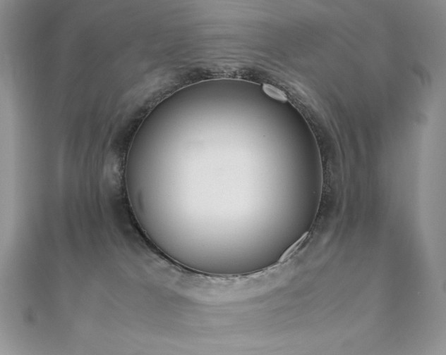 X0000112530037200908171430
