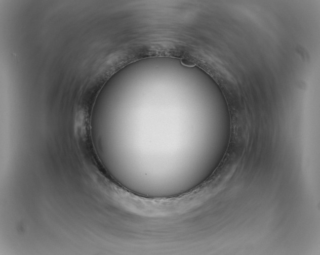 X0000112530038200908171430