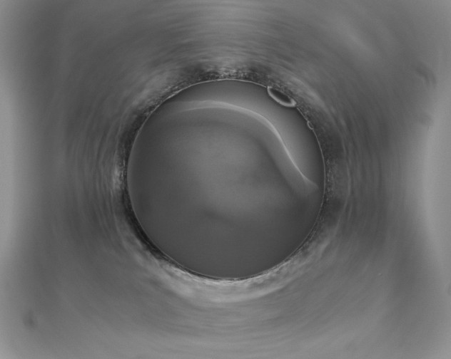 X0000112530039200908171430