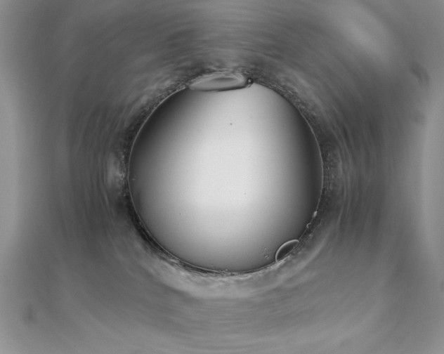 X0000112530040200908171430
