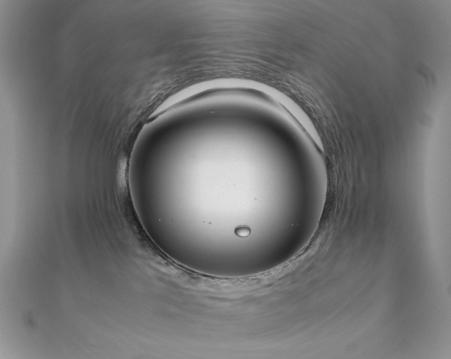 X0000112530041200908171430