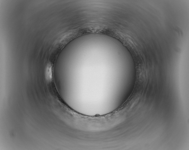 X0000112530042200908171430