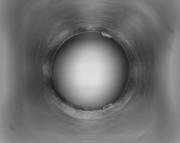 X0000112530044200908171430