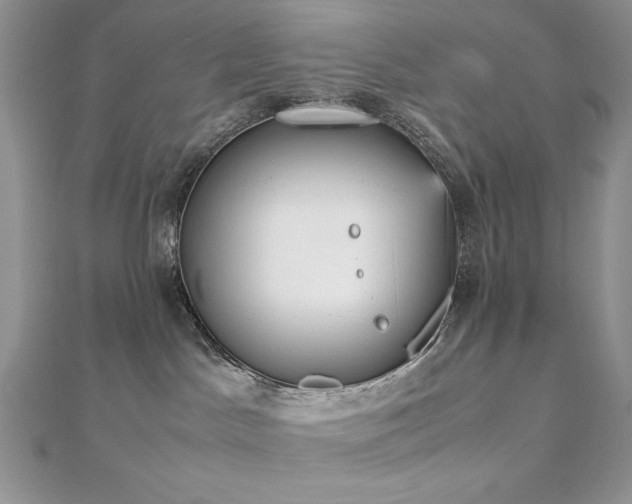 X0000112530045200908171430