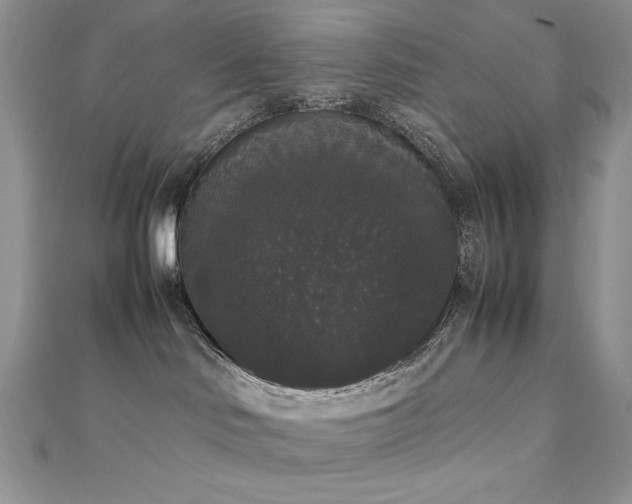 X0000112530046200908171430