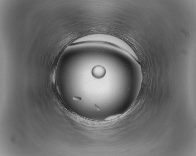 X0000112530047200908171430