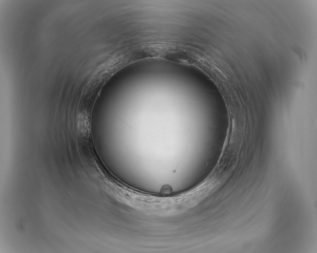 X0000112530048200908171430