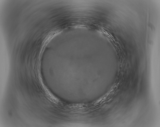 X0000112530049200908171430