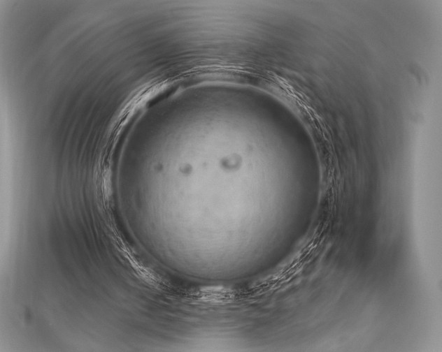 X0000112530050200908171430