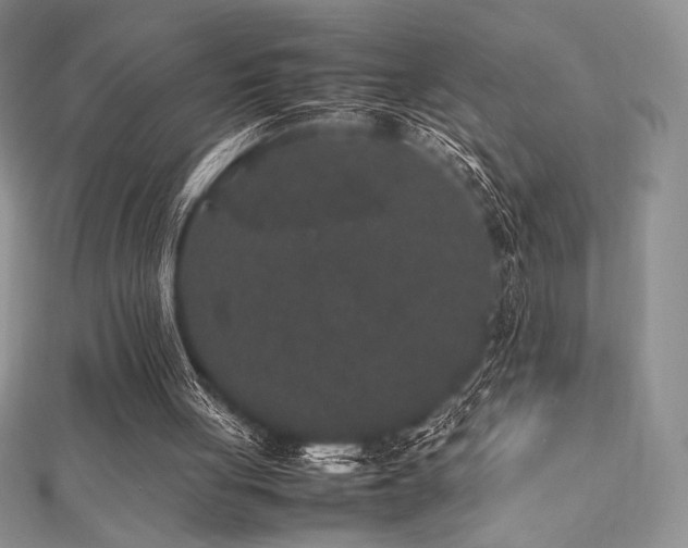 X0000112530051200908171430