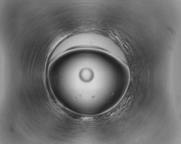X0000112530052200908171430