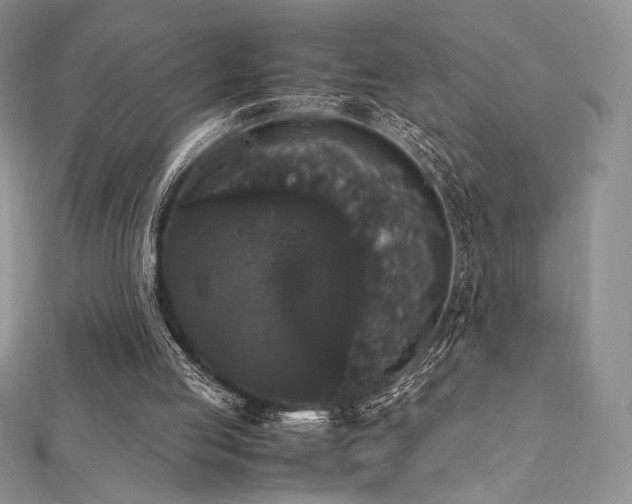 X0000112530053200908171430