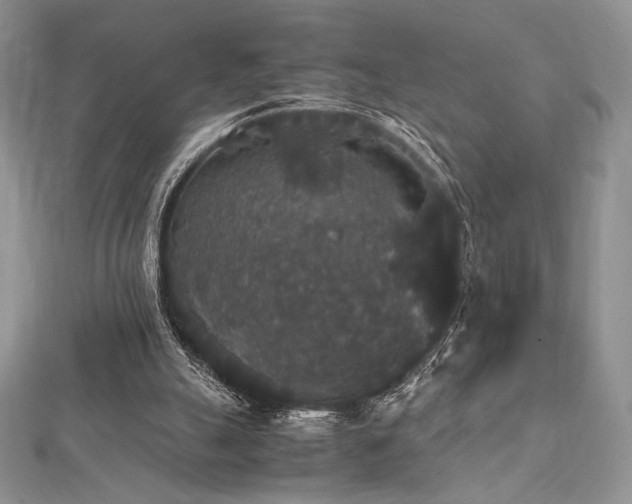 X0000112530055200908171430