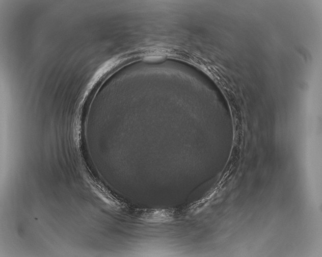 X0000112530056200908171430