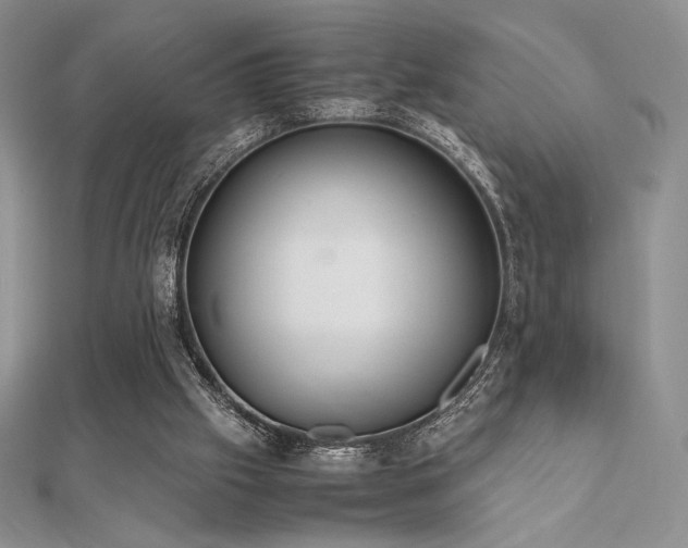 X0000112530057200908171430