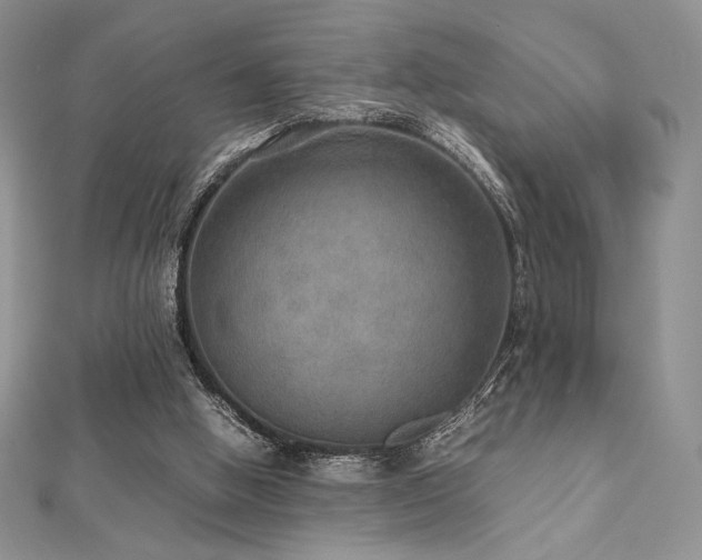 X0000112530058200908171430