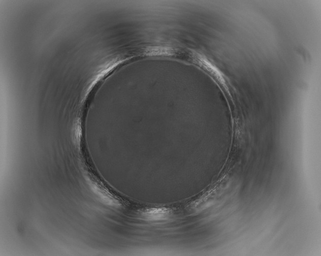 X0000112530059200908171430
