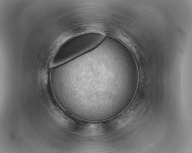 X0000112530060200908171430