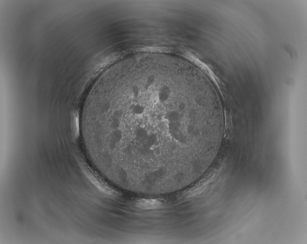 X0000112530061200908171430