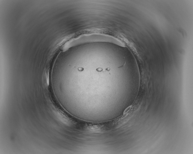 X0000112530062200908171430