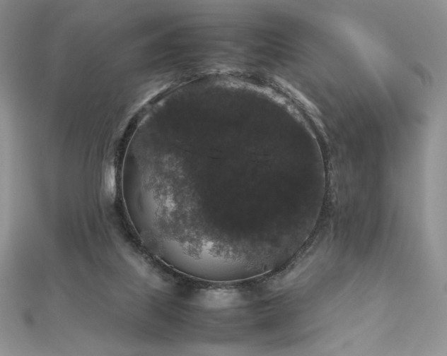 X0000112530067200908171430