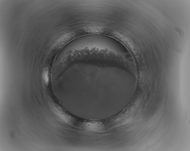 X0000112530069200908171430