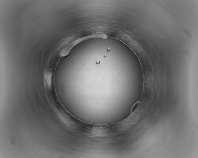 X0000112530070200908171430