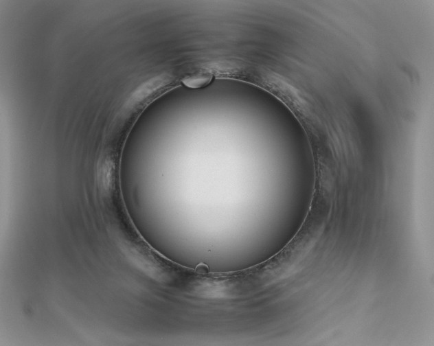 X0000112530071200908171430