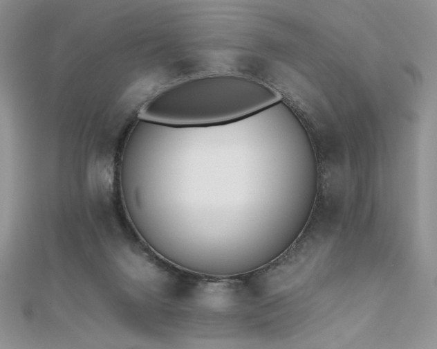 X0000112530072200908171430