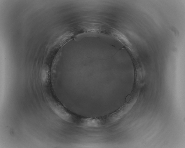 X0000112530073200908171430