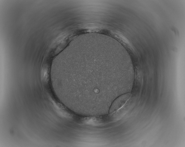 X0000112530074200908171430