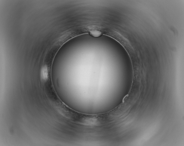 X0000112530075200908171430