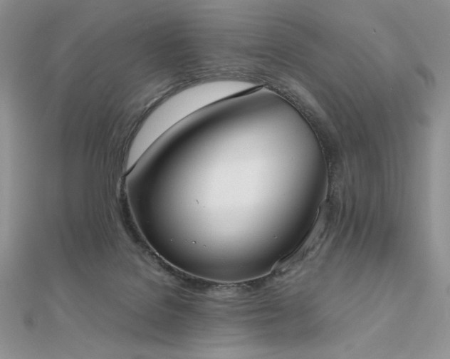 X0000112530076200908171430