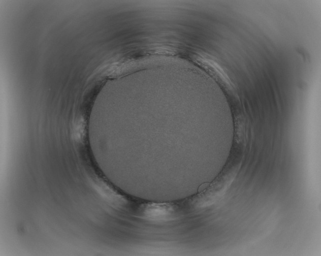 X0000112530077200908171430