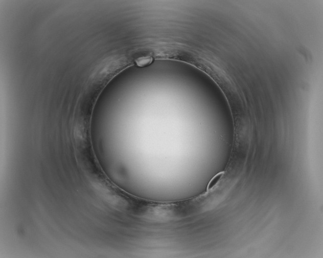 X0000112530078200908171430
