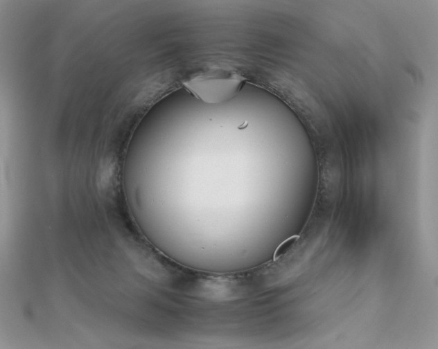X0000112530079200908171430