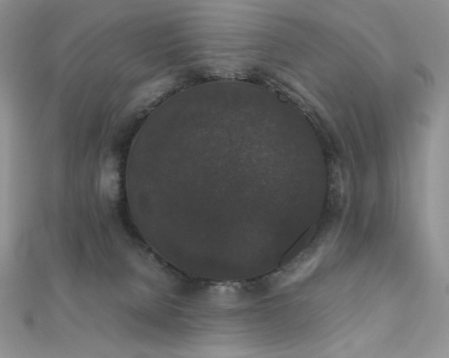 X0000112530080200908171430