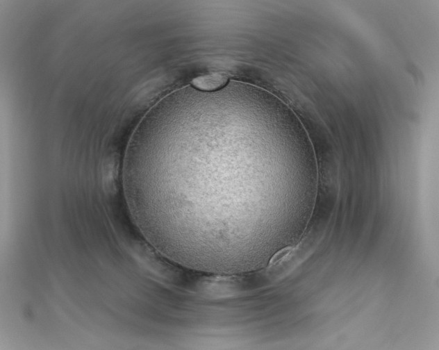X0000112530082200908171430