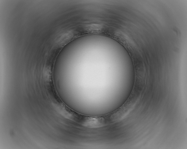 X0000112530083200908171430