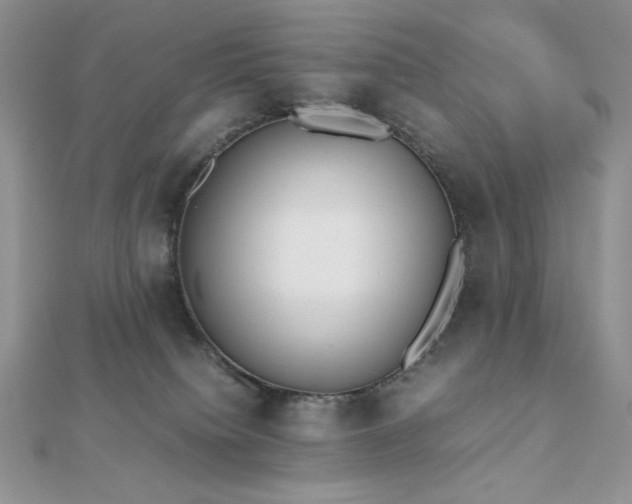 X0000112530084200908171430