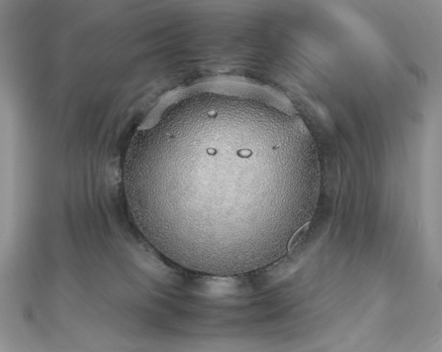 X0000112530085200908171430