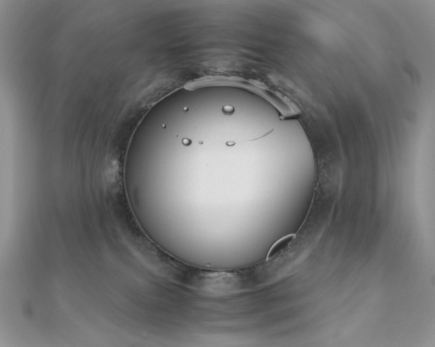 X0000112530087200908171430