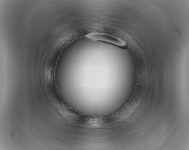 X0000112530088200908171430
