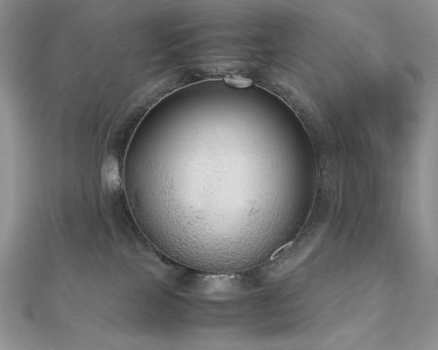 X0000112530089200908171430